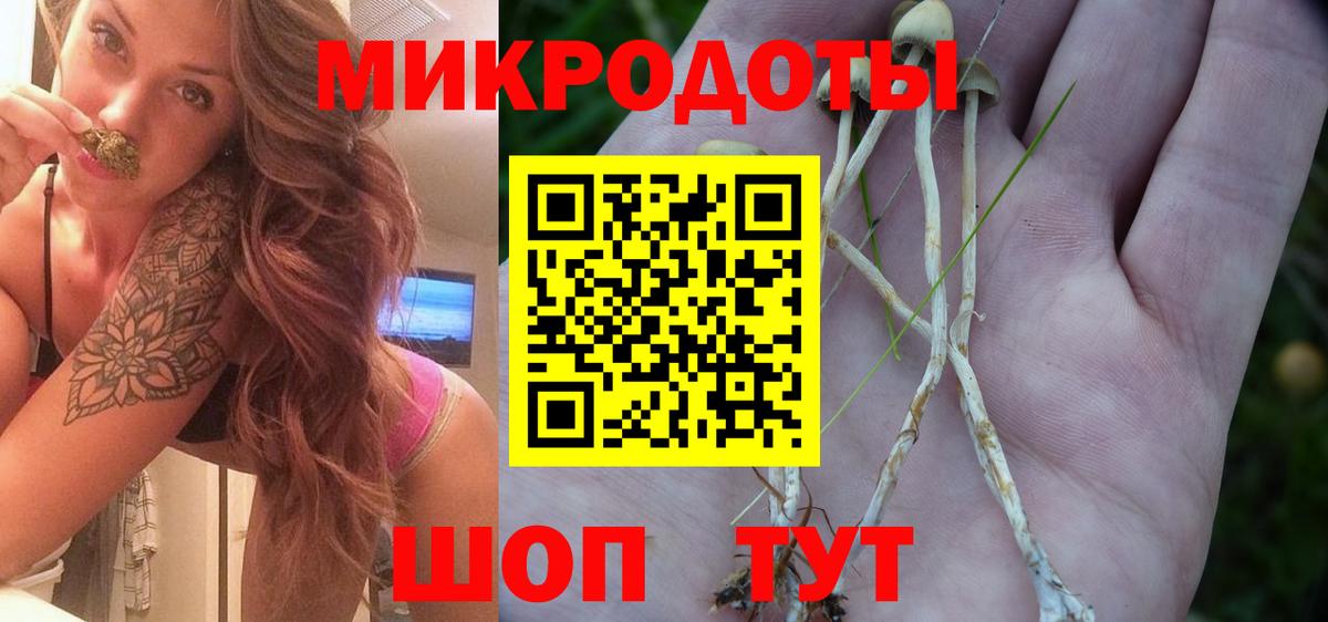 Фурманов  Галлюциногенные грибы Magic Shrooms  хочу наркоту  Вход с VPN 