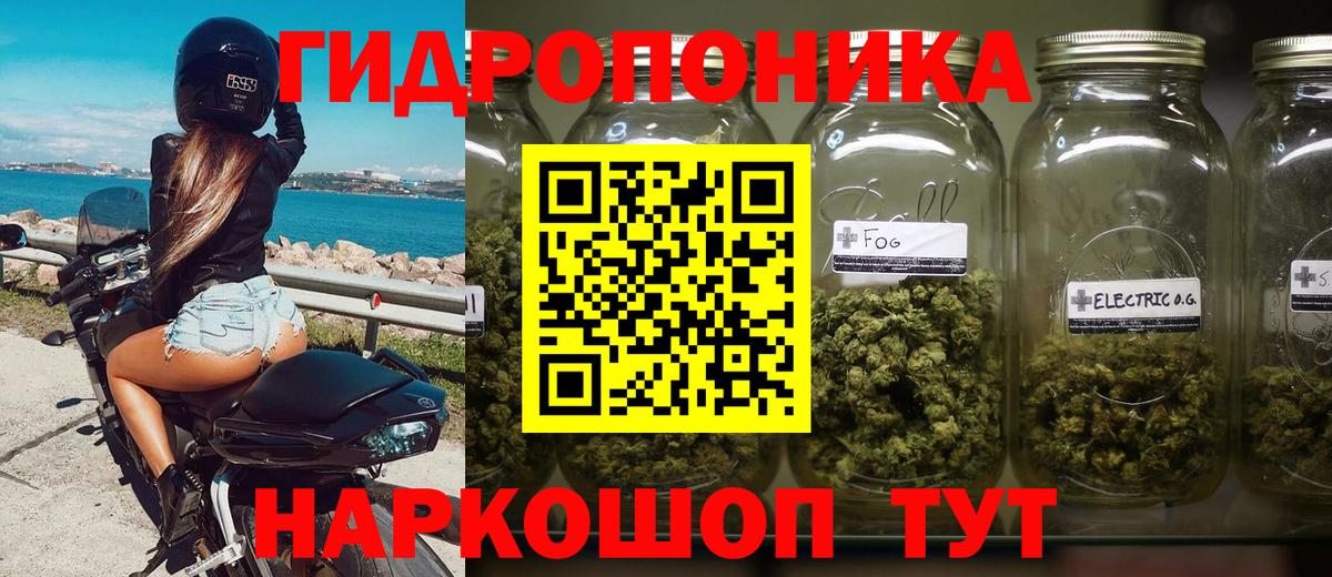 Шишки марихуана марихуана  МАРИХУАНА тримм  Бошки Шишки Ganja  Фурманов  Вход с VPN 